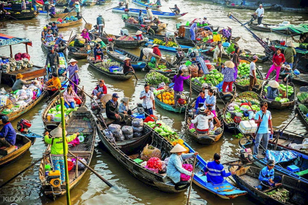 the mekong delta
